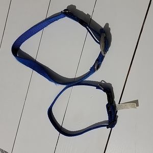 Two blue dog collars